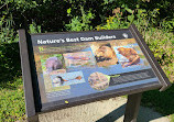 Fullersburg Woods Nature Education Center