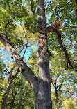 Fullersburg Woods Nature Education Center