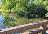 Fullersburg Woods Nature Education Center