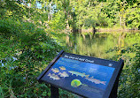 Fullersburg Woods Nature Education Center