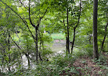 Fullersburg Woods Nature Education Center