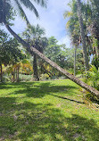 Bonnet House Museum & Gardens