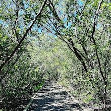 Hugh Taylor Birch State Park