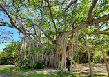 Hugh Taylor Birch State Park