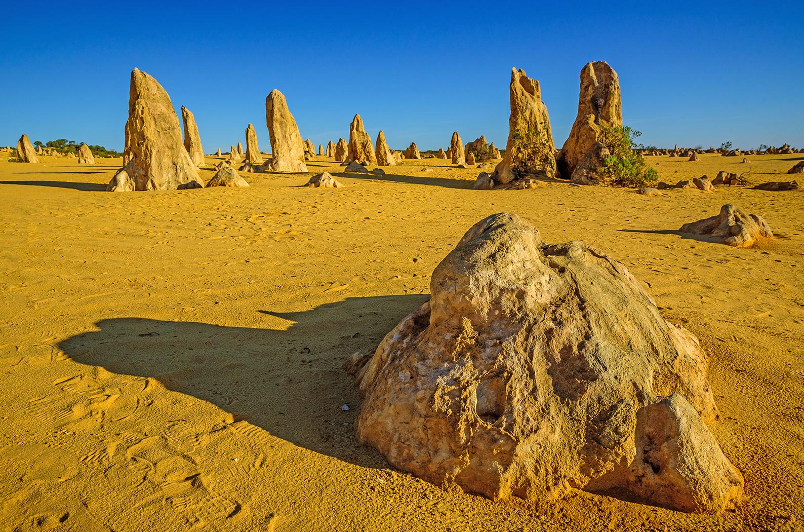 The Pinnacles Desert