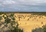 The Pinnacles Desert