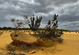 The Pinnacles Desert