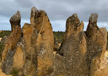 The Pinnacles Desert