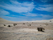 The Pinnacles Desert