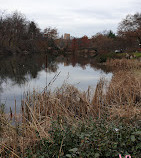 El estanque en Central Park