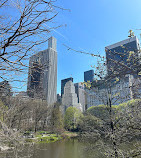 The Pond at Central Park