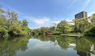 The Pond at Central Park