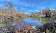 The Pond at Central Park