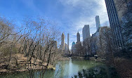 The Pond at Central Park