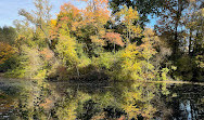 The Pond at Central Park