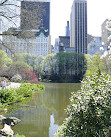 L'étang de Central Park