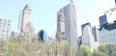 L'étang de Central Park