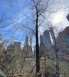 The Pond at Central Park