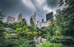 Lo stagno di Central Park