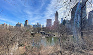 The Pond at Central Park