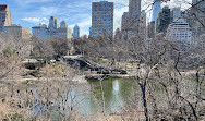 The Pond at Central Park