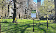 The Pond at Central Park