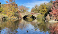 The Pond at Central Park