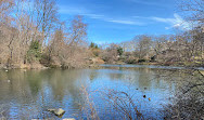 The Pond at Central Park