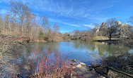 The Pond at Central Park