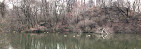 The Pond at Central Park