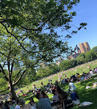 The Pond at Central Park