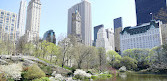 L'étang de Central Park