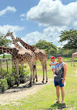 Calauit Island National Park