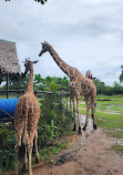 Calauit Island National Park