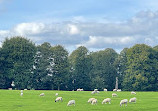 Tatton Park