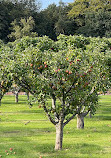 Tatton Park