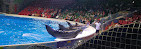 Dubai Dolphinarium