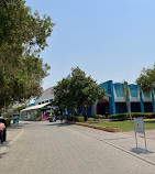 Dubai Dolphinarium