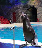 Dubai Dolphinarium