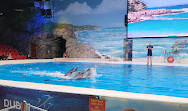 Dubai Dolphinarium