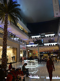 The Dubai Mall Heart