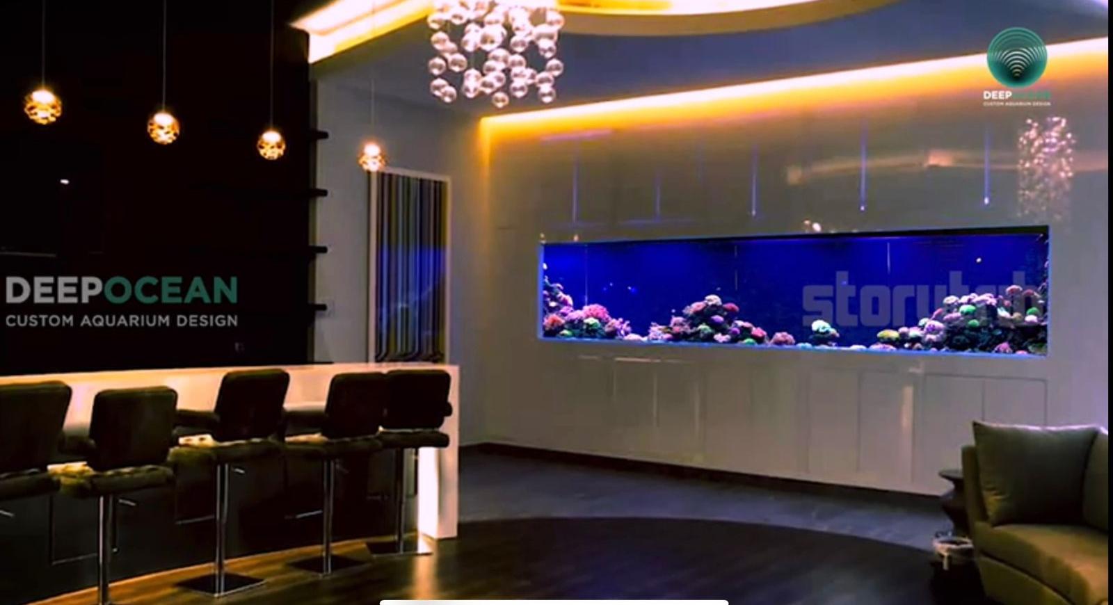 Deep Ocean Custom Aquarium