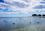 Bluffers Beach Side Rock