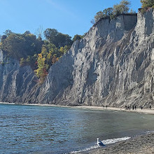 Bluffers Beach Side Rock