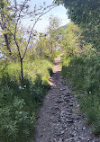 Trail to Scarborough Heights Waterfront