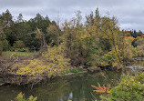 Valley Land Trail