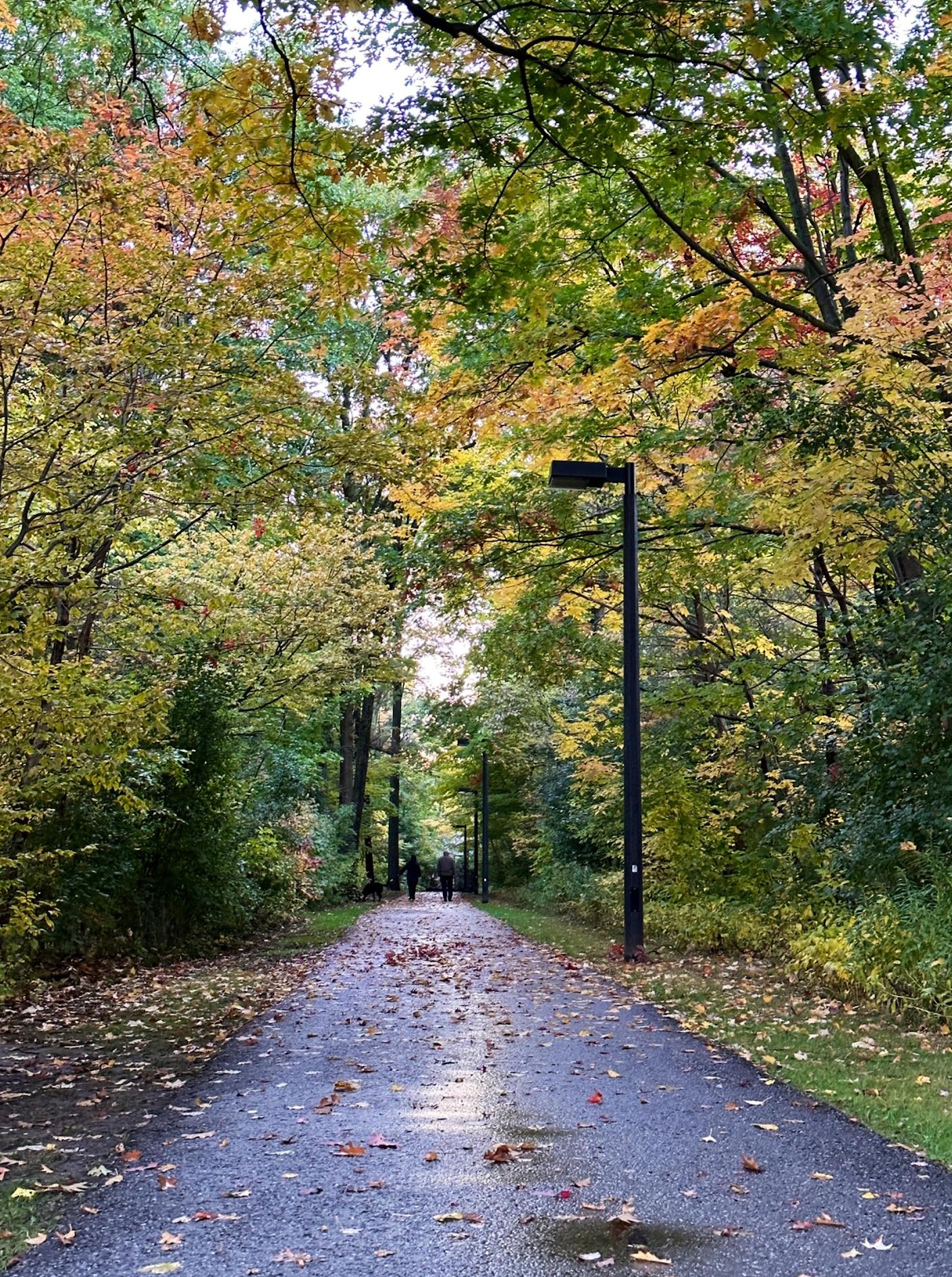 Rouge Valley Park