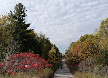 Centro de conservación del valle de Rouge