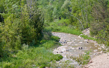 Centro de conservación del valle de Rouge