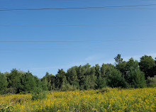 Centro de conservación del valle de Rouge